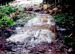 photo: stream with low water flow