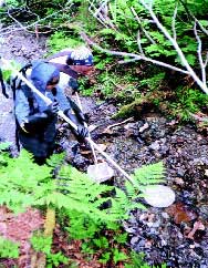 photo: electro-shocker crew removing fish