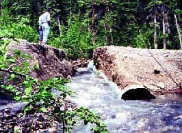 photo: piping failure resulting in washed-out road