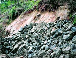 photo: erosion protection on fill slope